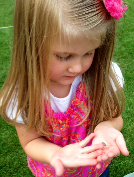 Discovering Spring! www.mytributejournal.com
